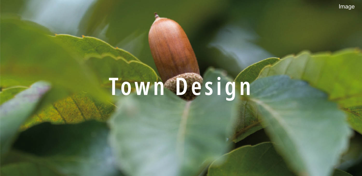 Town Design